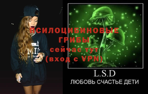 прущие грибы Балабаново