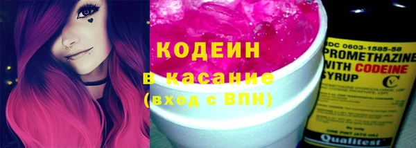 прущие грибы Балабаново