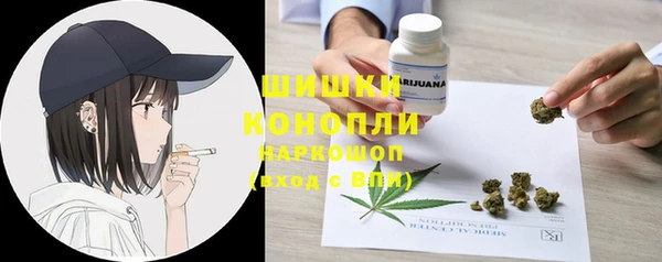 ГАЛЛЮЦИНОГЕННЫЕ ГРИБЫ Балахна