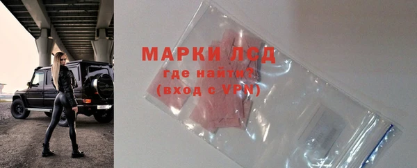 прущие грибы Балабаново