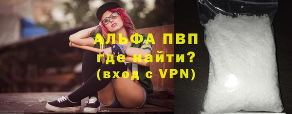 прущие грибы Балабаново