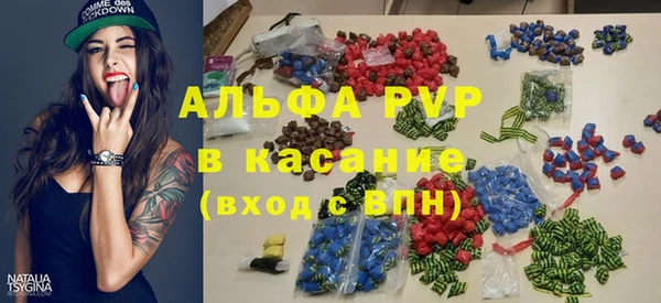 прущие грибы Балабаново