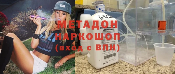 прущие грибы Балабаново