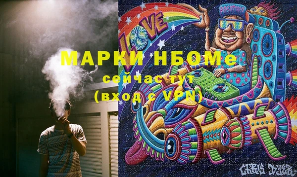 прущие грибы Балабаново